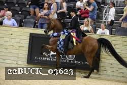 22BUCK_03623 proof