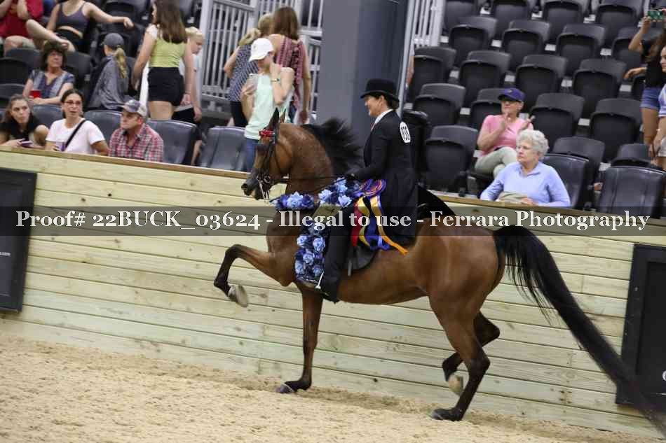 Proof 22BUCK_03624