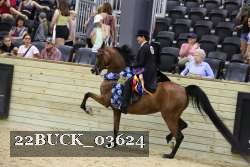 22BUCK_03624 proof