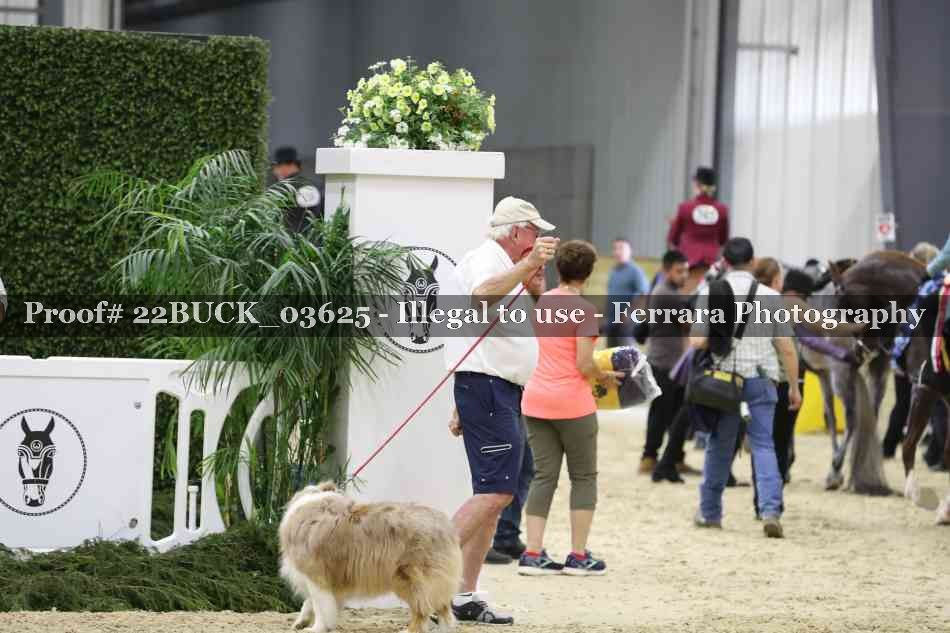 Proof 22BUCK_03625