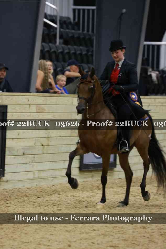 Proof 22BUCK_03626