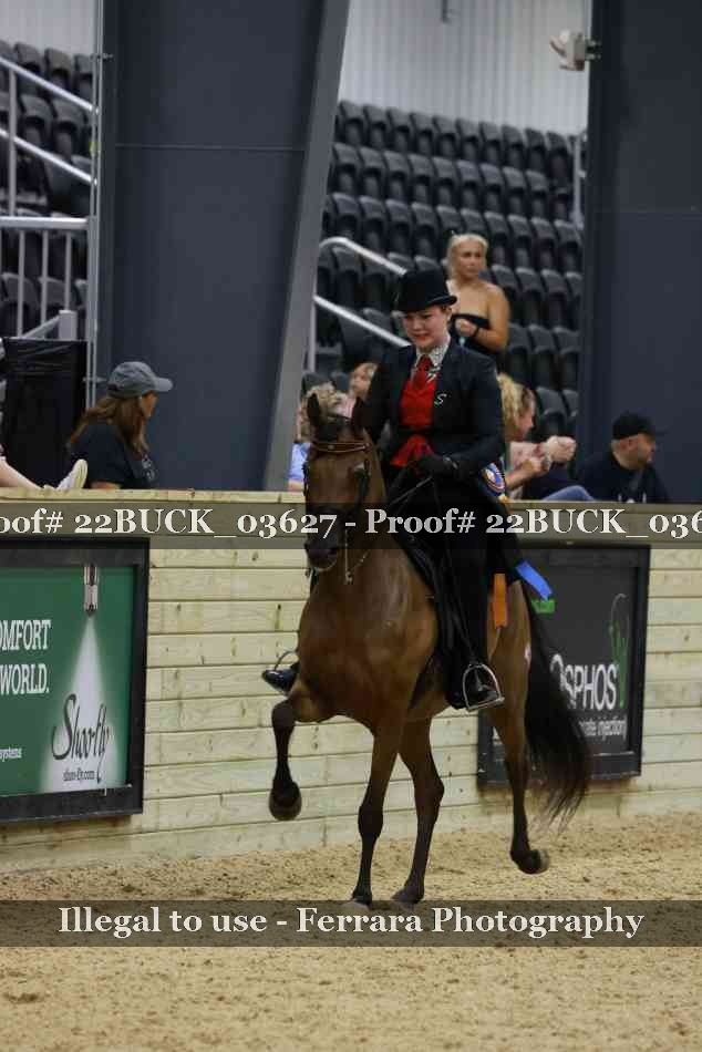 Proof 22BUCK_03627