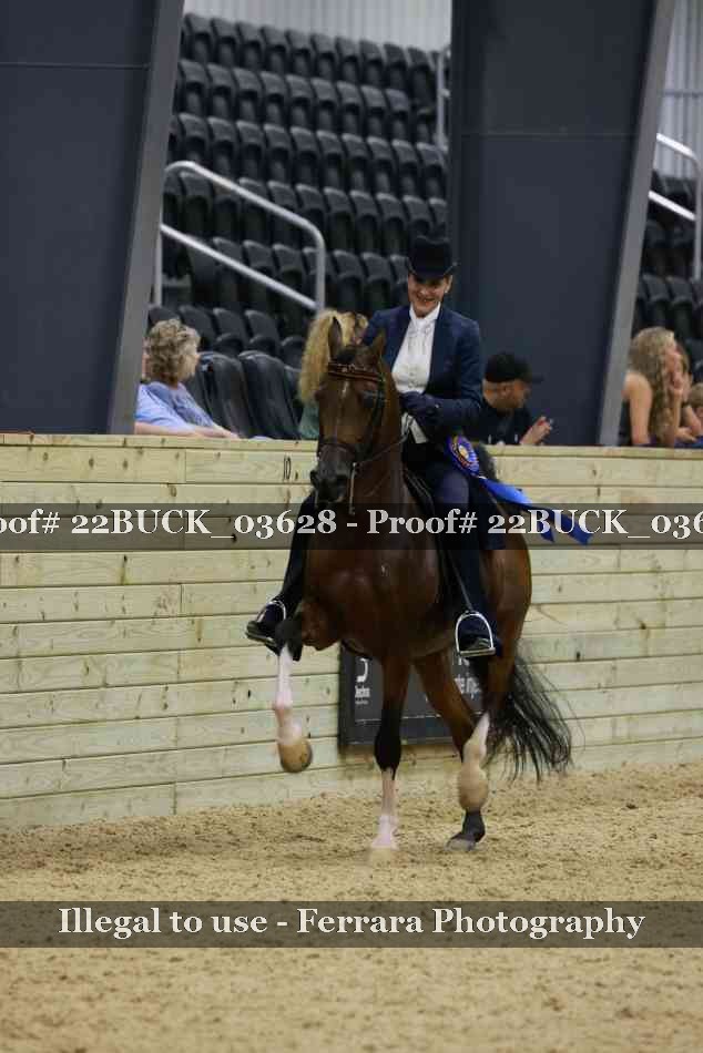 Proof 22BUCK_03628