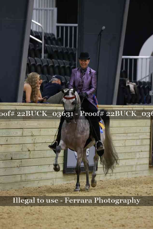 Proof 22BUCK_03631