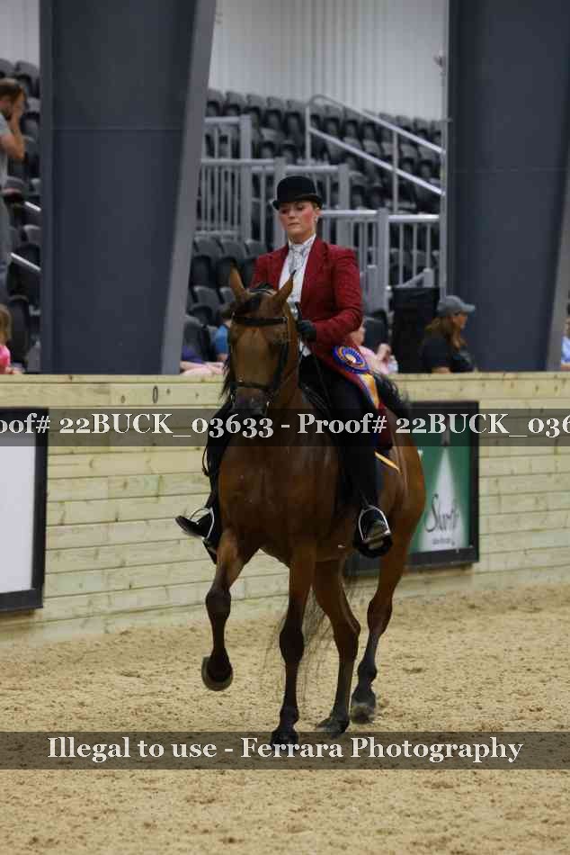 Proof 22BUCK_03633