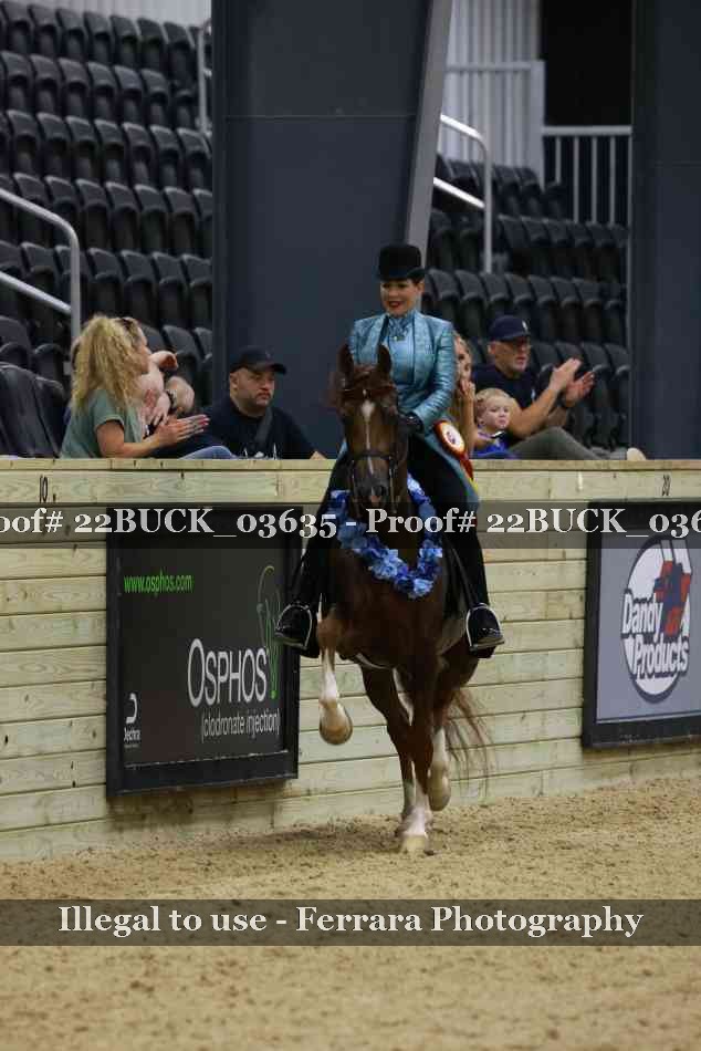 Proof 22BUCK_03635