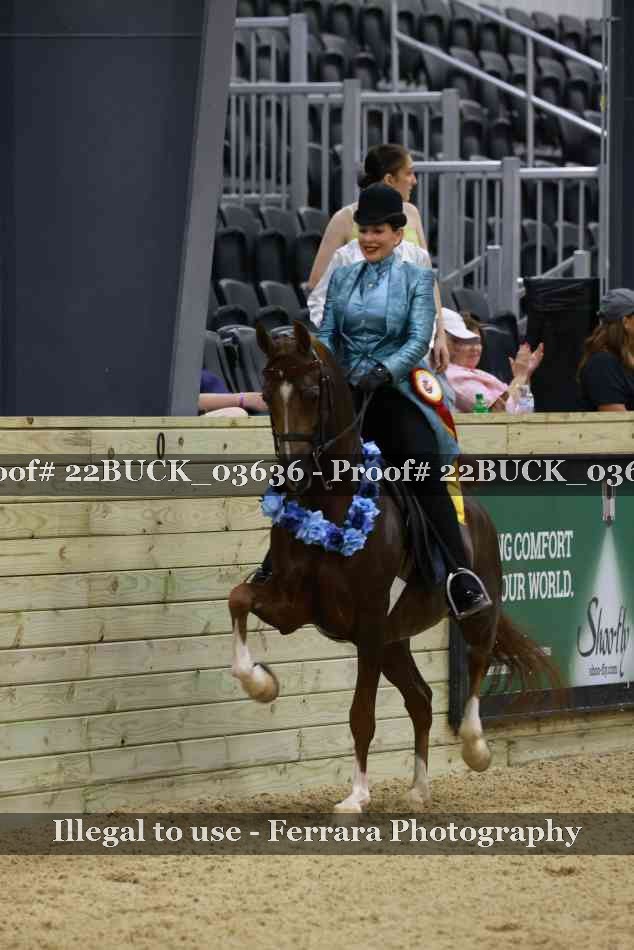 Proof 22BUCK_03636