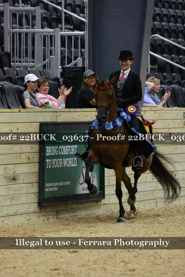 Proof 22BUCK_03637
