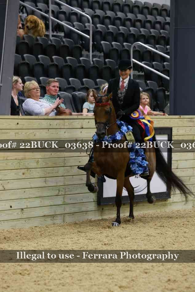Proof 22BUCK_03638