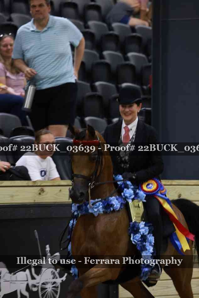 Proof 22BUCK_03639