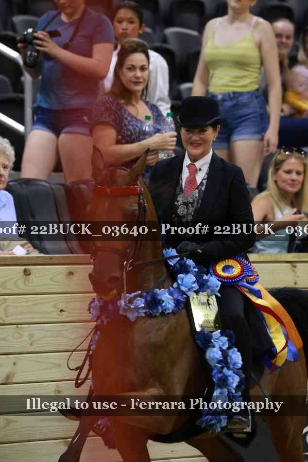 Proof 22BUCK_03640