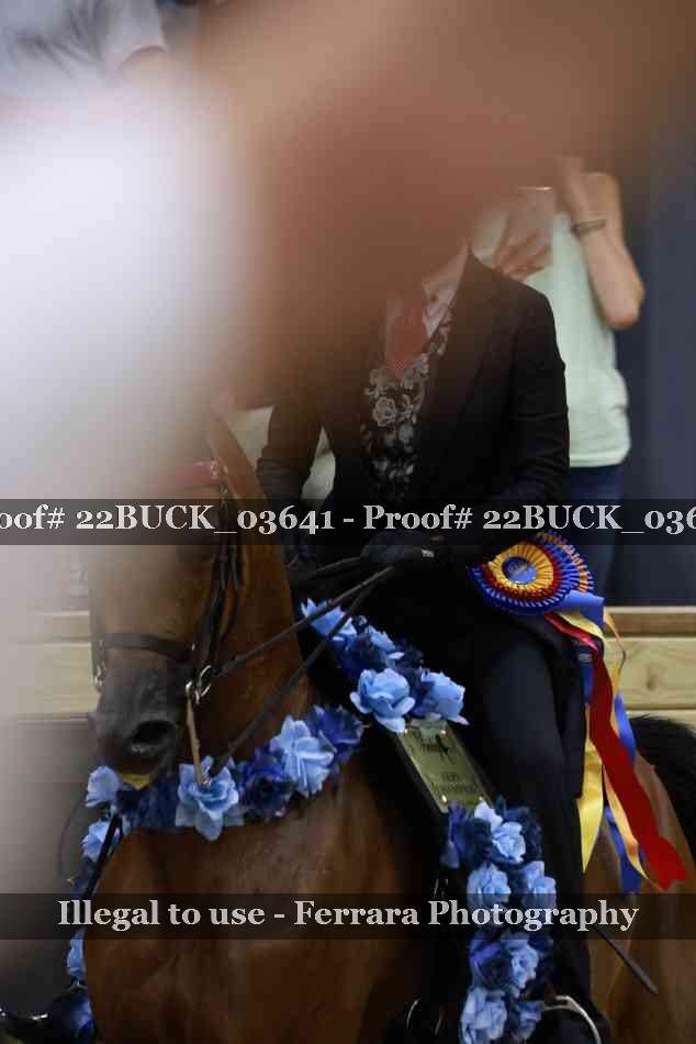 Proof 22BUCK_03641