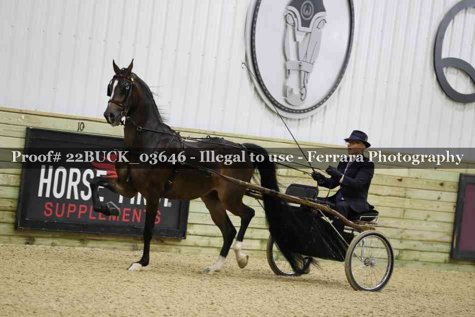 Proof 22BUCK_03646