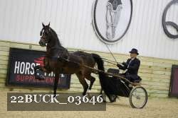 22BUCK_03646 proof