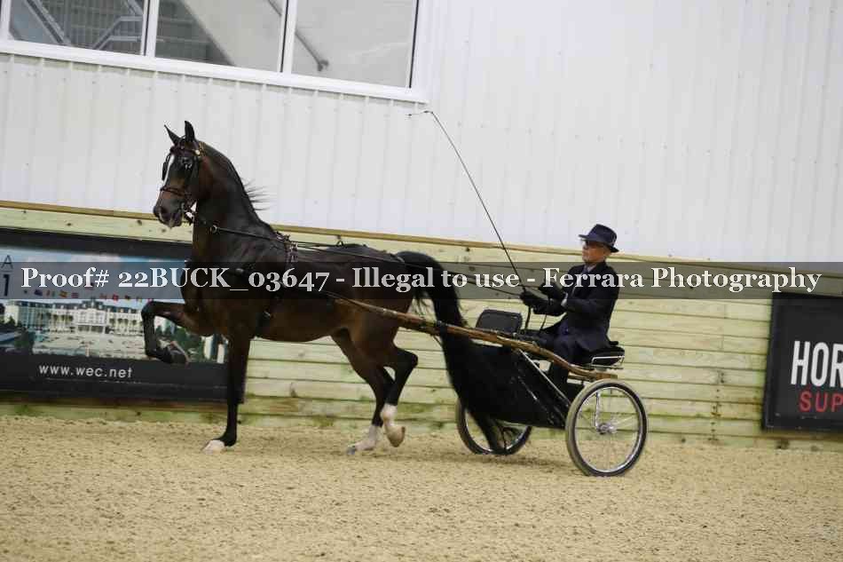 Proof 22BUCK_03647