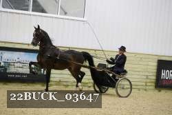 22BUCK_03647 proof