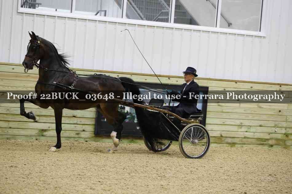 Proof 22BUCK_03648