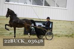 22BUCK_03648 proof