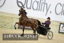 22BUCK_03649 proof