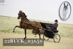 22BUCK_03650 proof