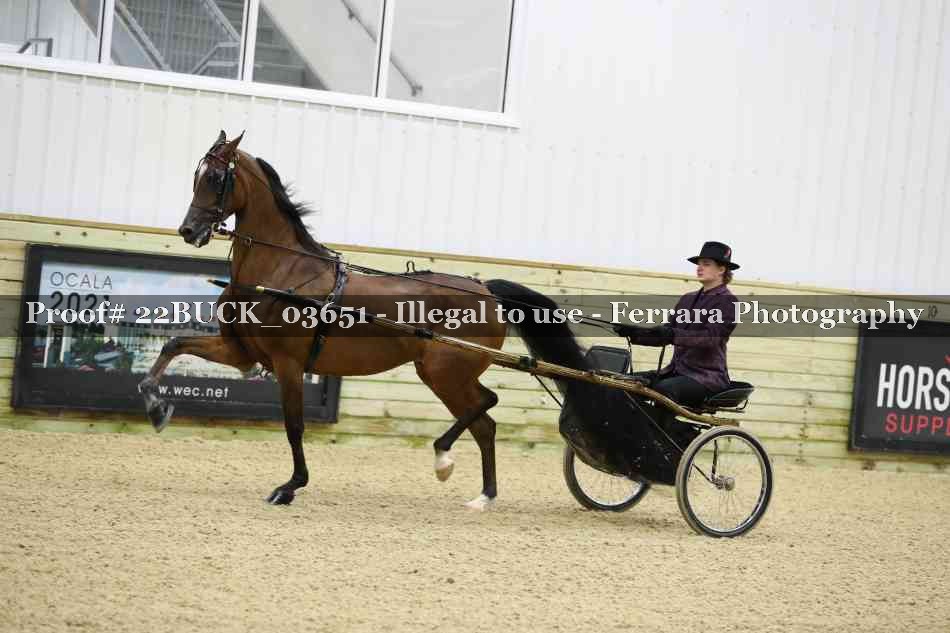 Proof 22BUCK_03651