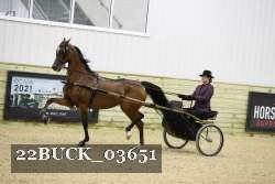 22BUCK_03651 proof