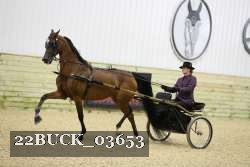22BUCK_03653 proof