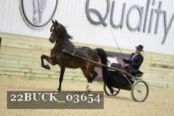 22BUCK_03654 proof
