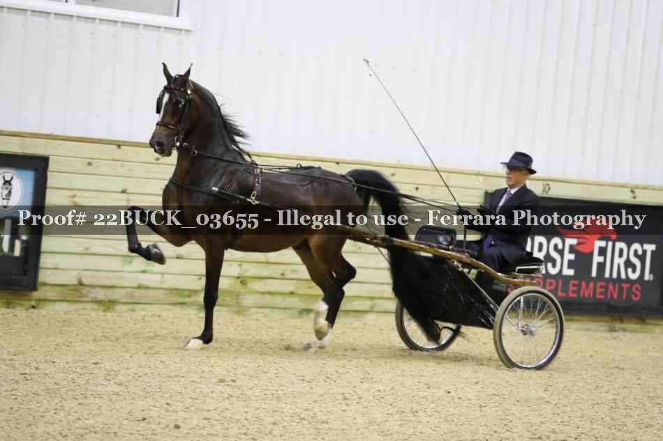 Proof 22BUCK_03655