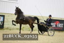 22BUCK_03655 proof