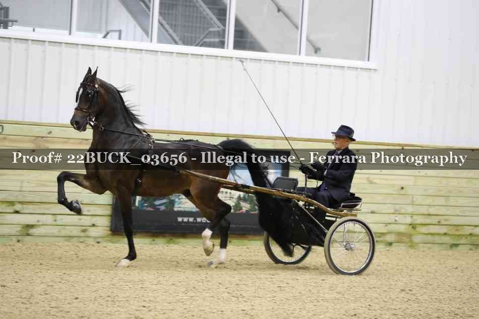 Proof 22BUCK_03656