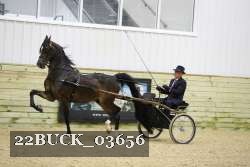 22BUCK_03656 proof