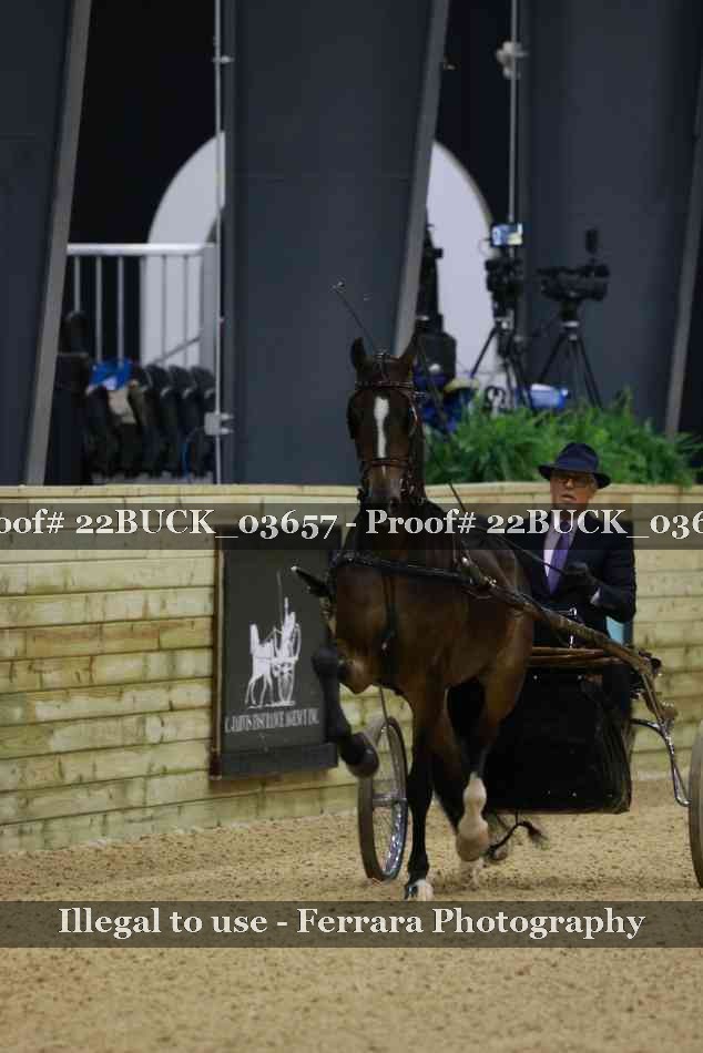 Proof 22BUCK_03657