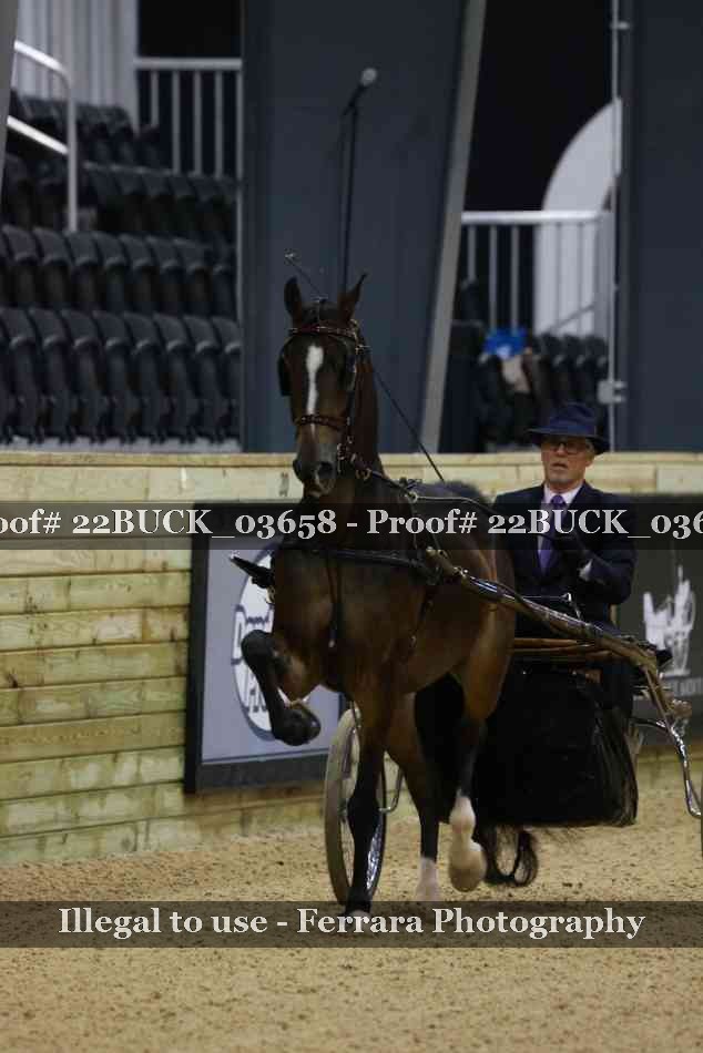 Proof 22BUCK_03658