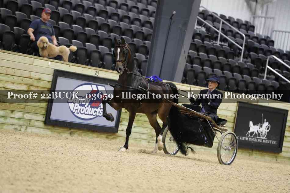 Proof 22BUCK_03659