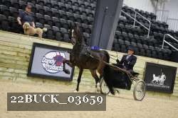 22BUCK_03659 proof