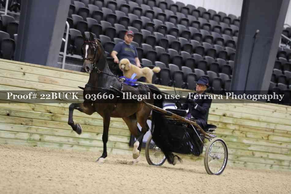 Proof 22BUCK_03660