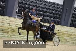 22BUCK_03660 proof