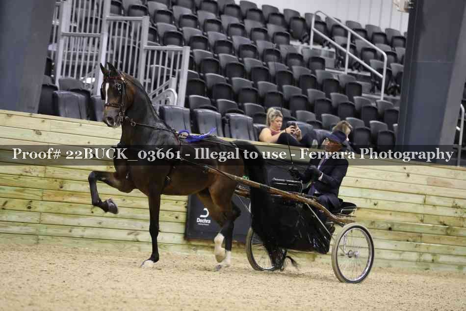 Proof 22BUCK_03661