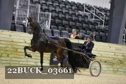 22BUCK_03661 proof