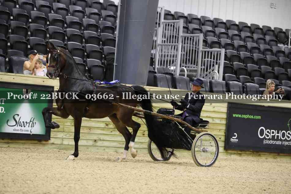 Proof 22BUCK_03662