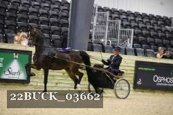 22BUCK_03662 proof
