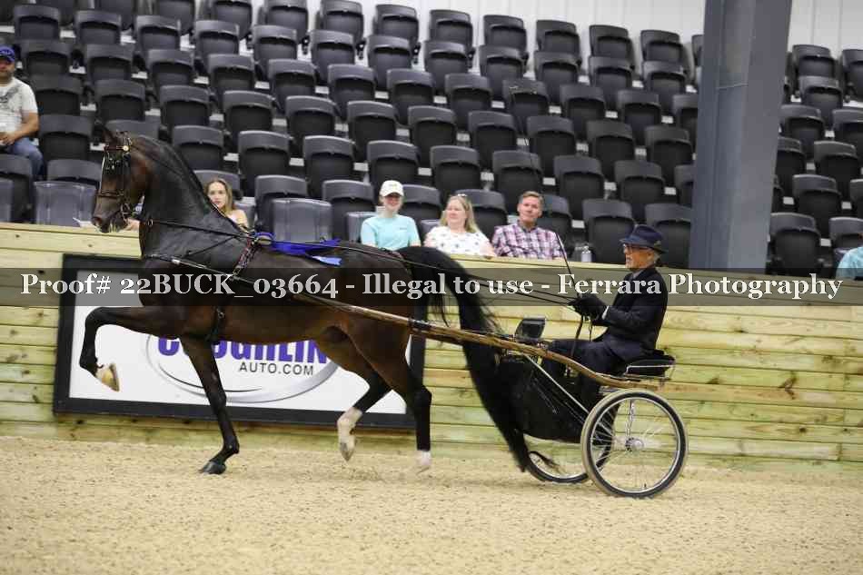Proof 22BUCK_03664