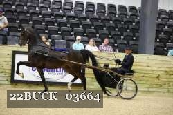 22BUCK_03664 proof