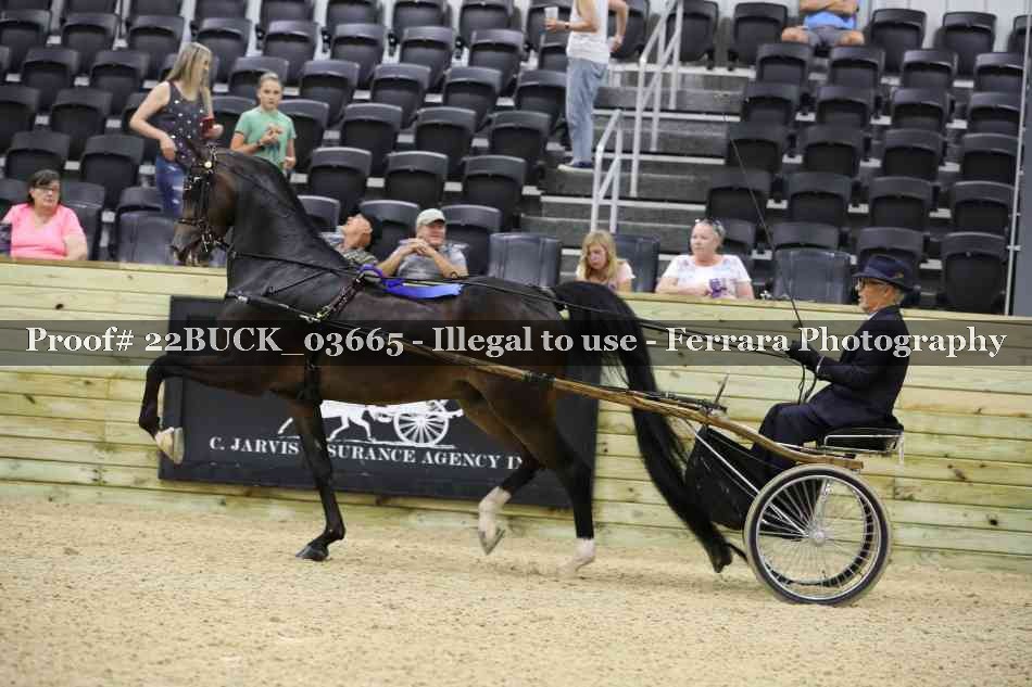 Proof 22BUCK_03665