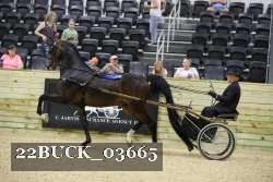 22BUCK_03665 proof