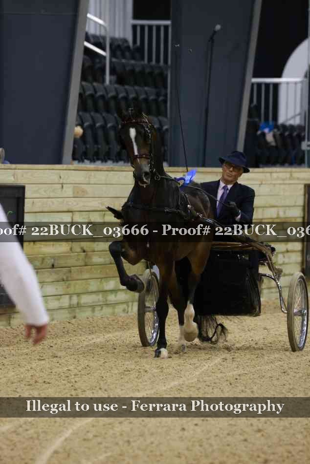 Proof 22BUCK_03666
