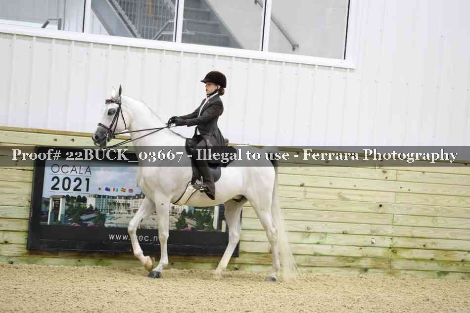 Proof 22BUCK_03667