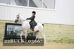 22BUCK_03667 proof