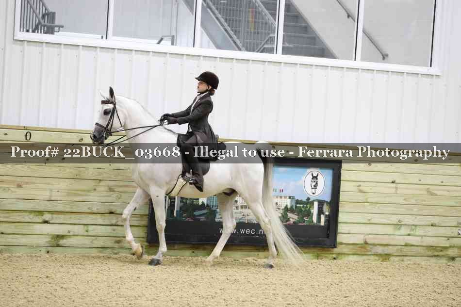 Proof 22BUCK_03668
